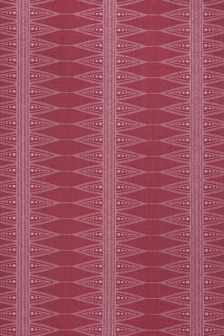 Indian Stripe Fabric
