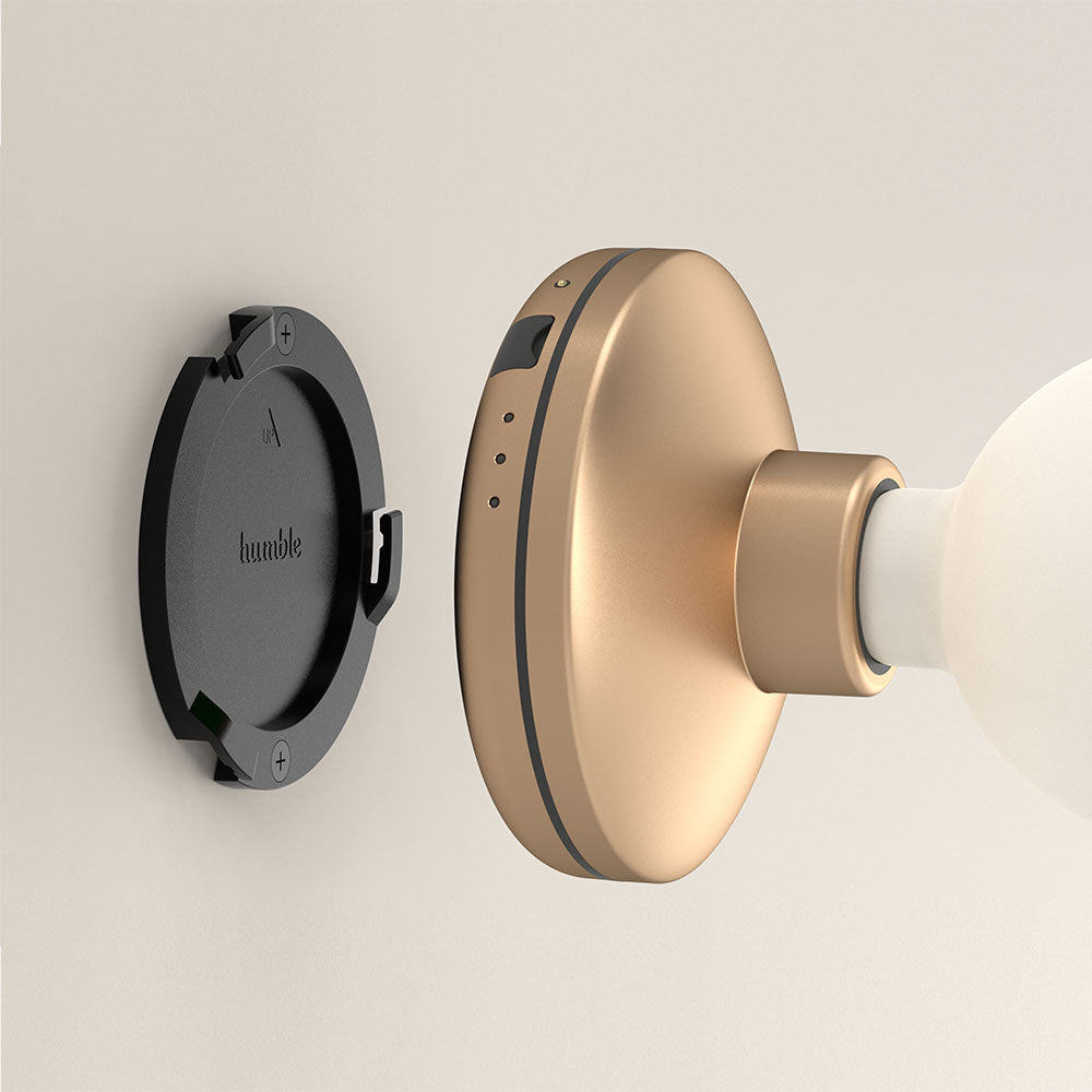 Bee Wall Light - Gold Frosted