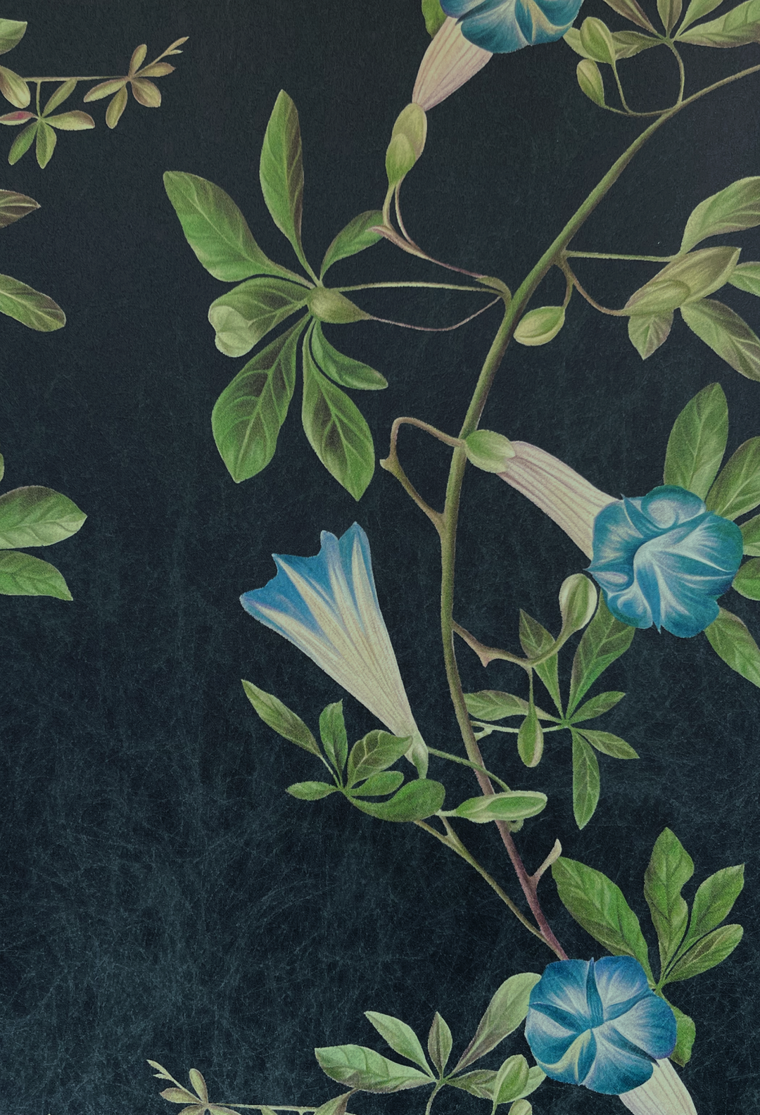 Midsummer Wallpaper
