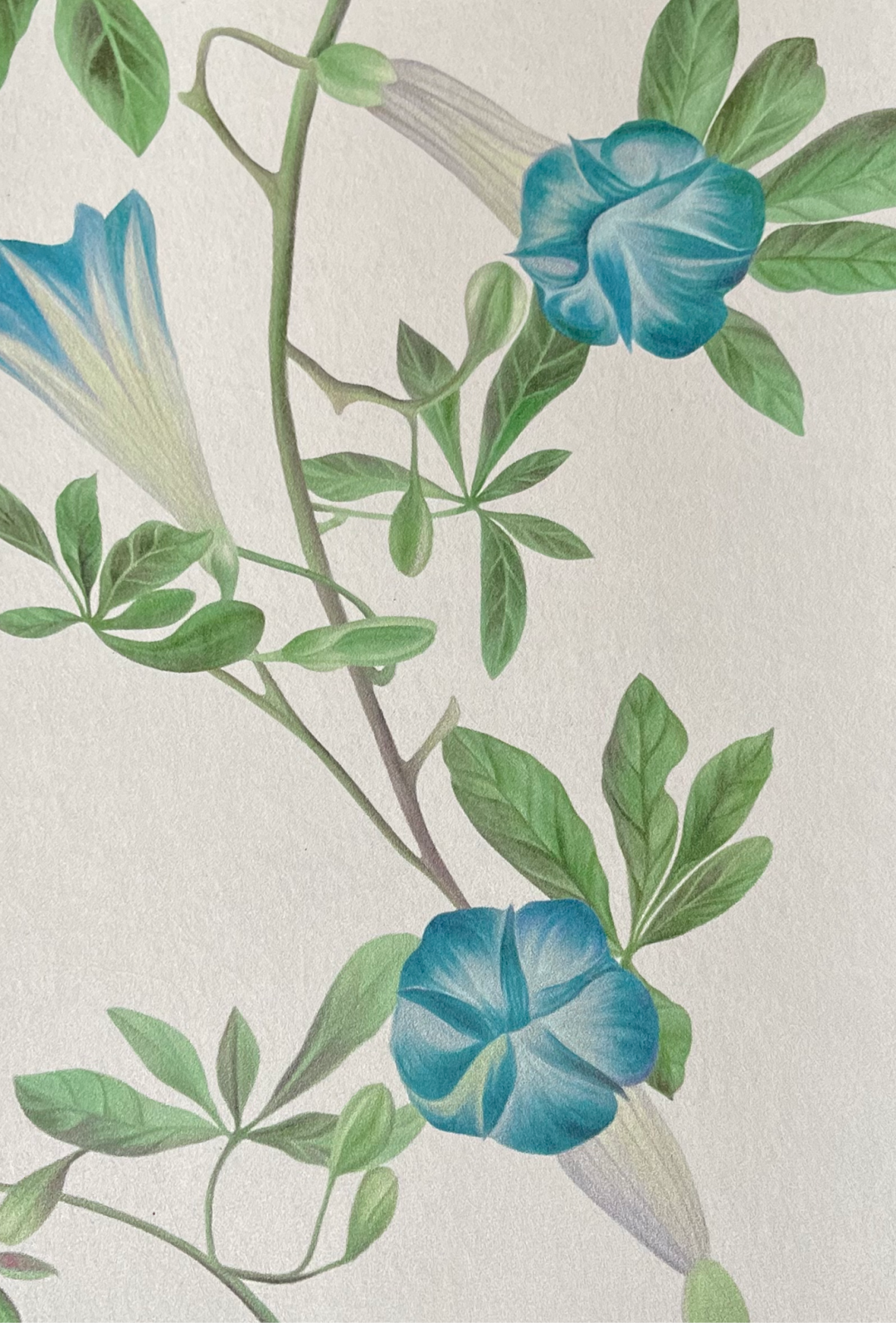 Midsummer Wallpaper