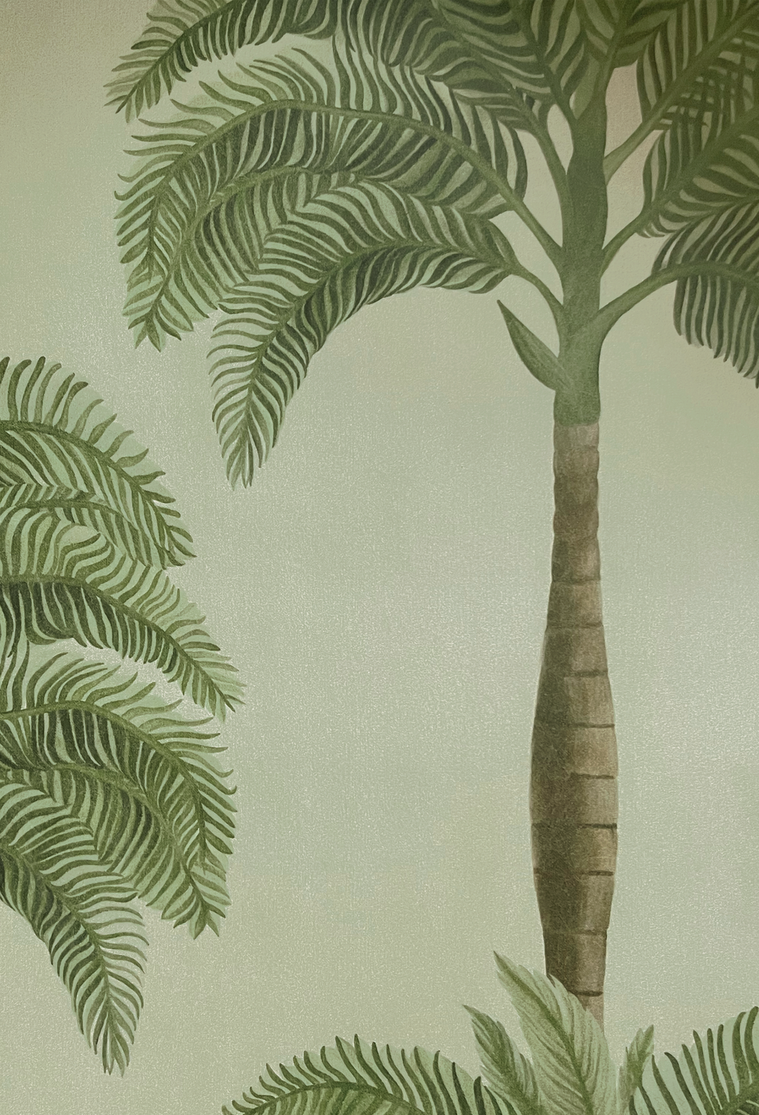 Palma Wallpaper