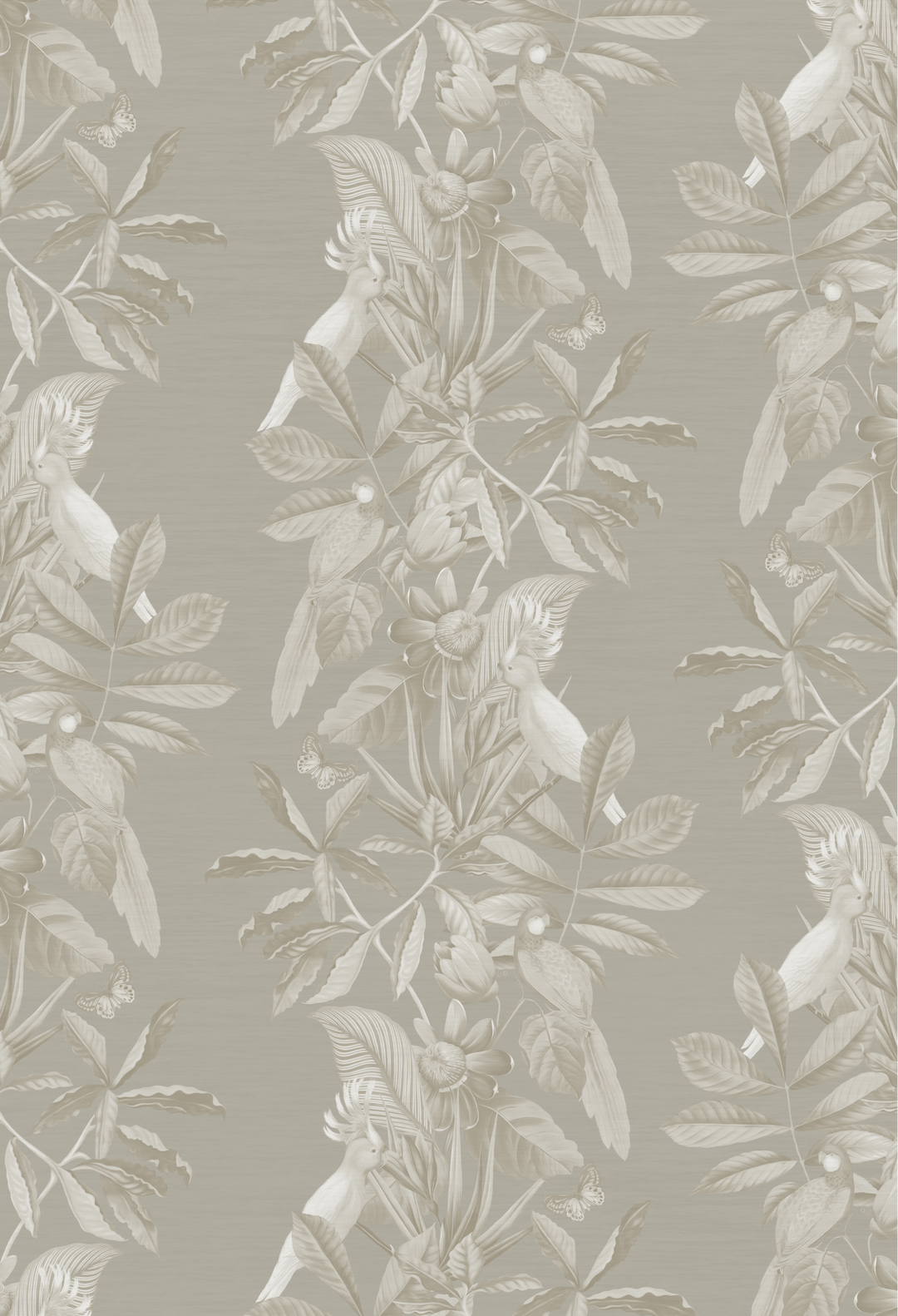 Passiflora Wallpaper