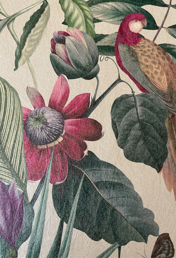 Passiflora Wallpaper