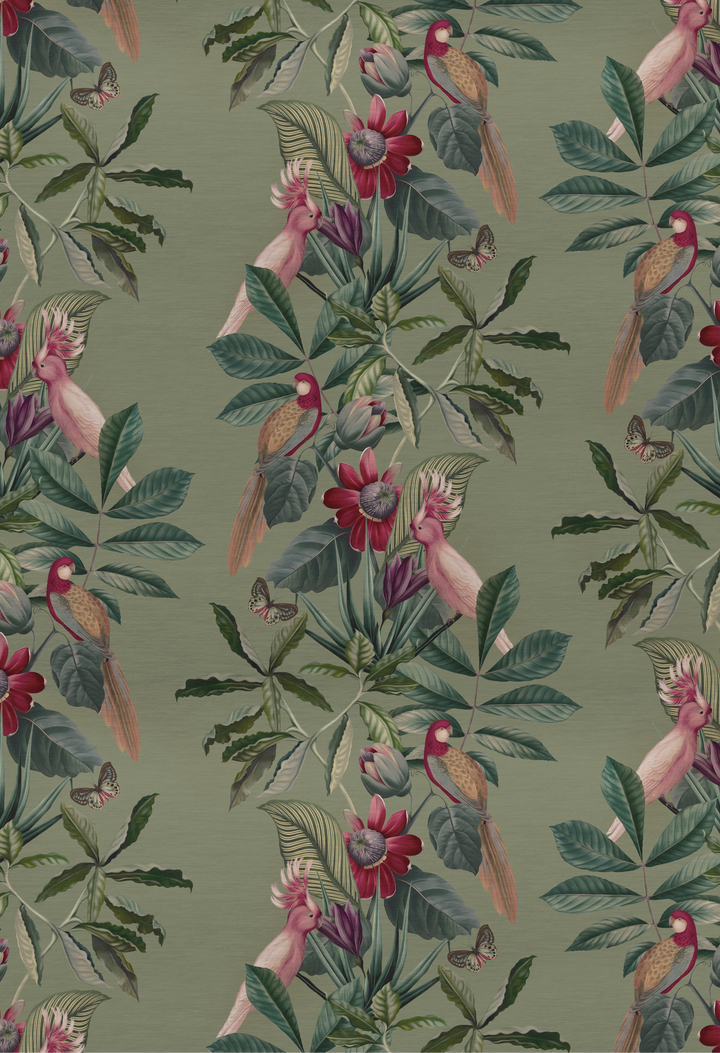 Passiflora Wallpaper
