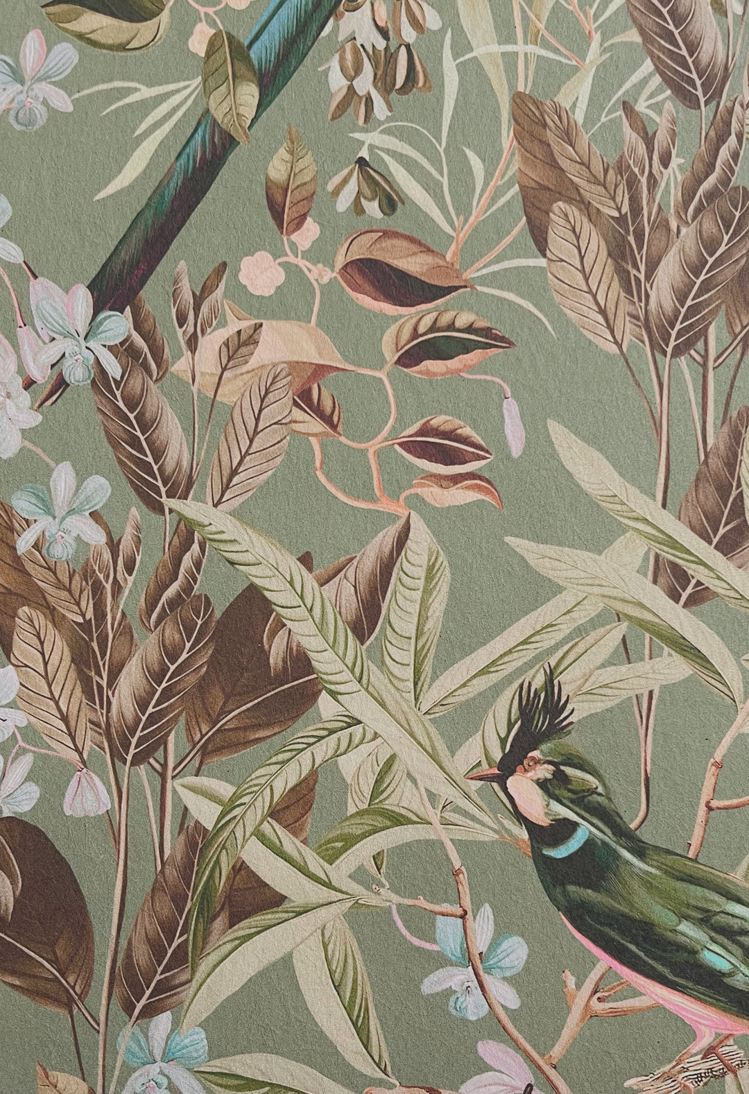 Resplendent Woods Wallpaper