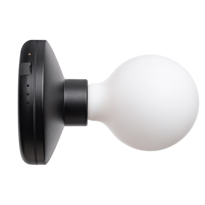Bee Wall Light - Black Frosted