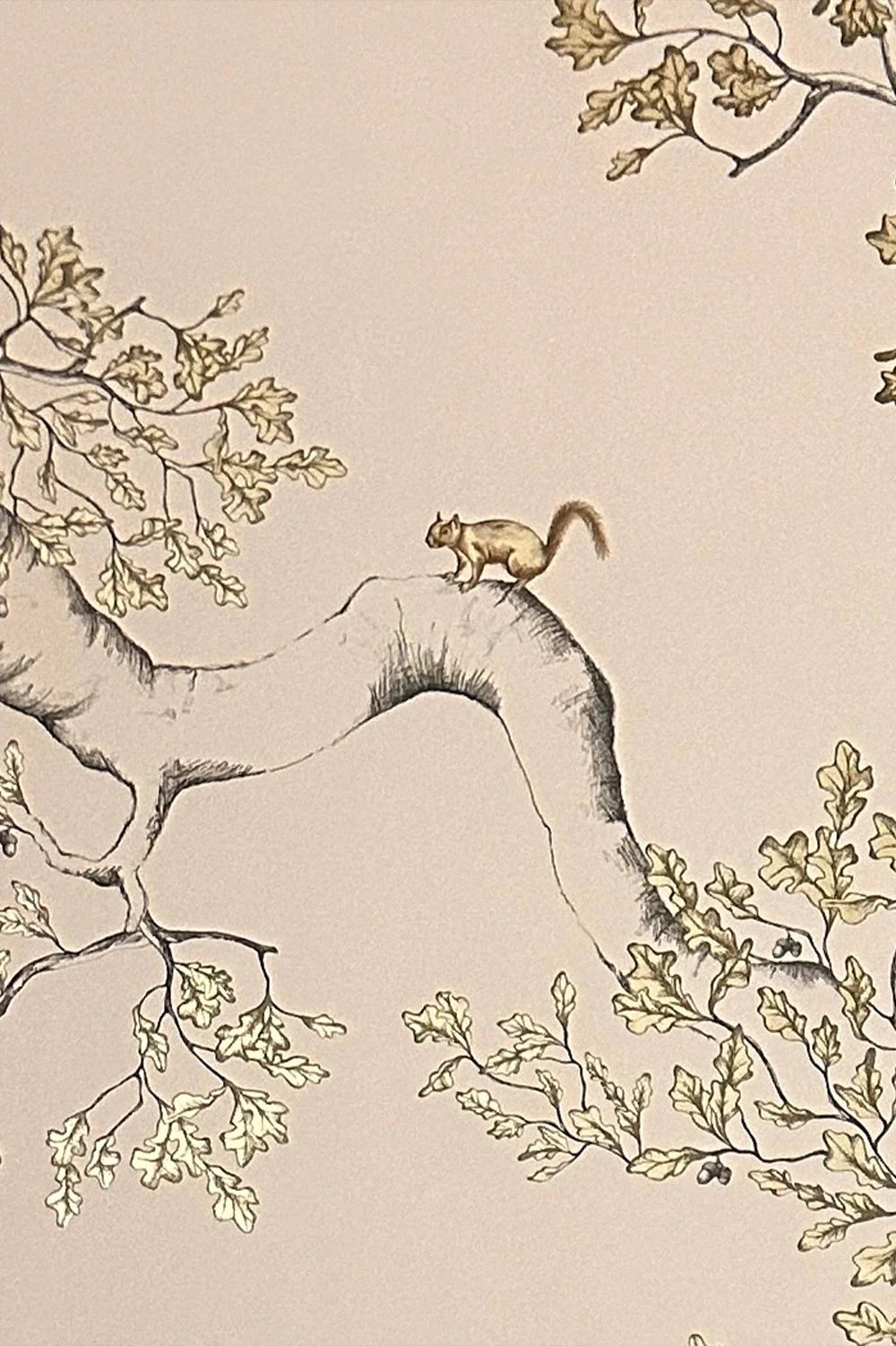 Nutcracker Wallpaper