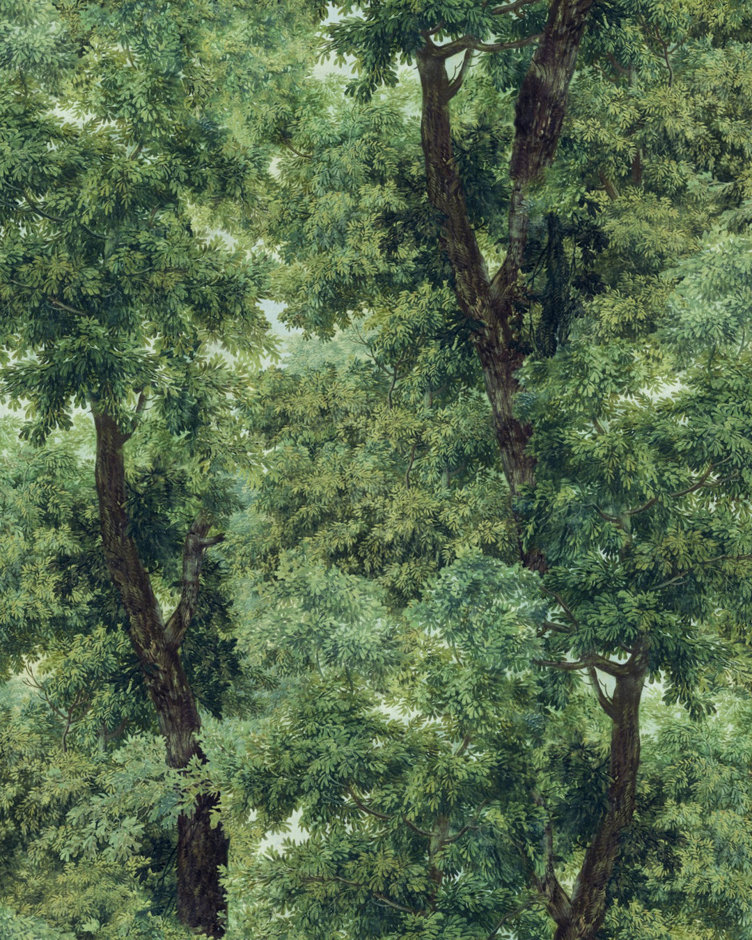 Branchy Wallpaper