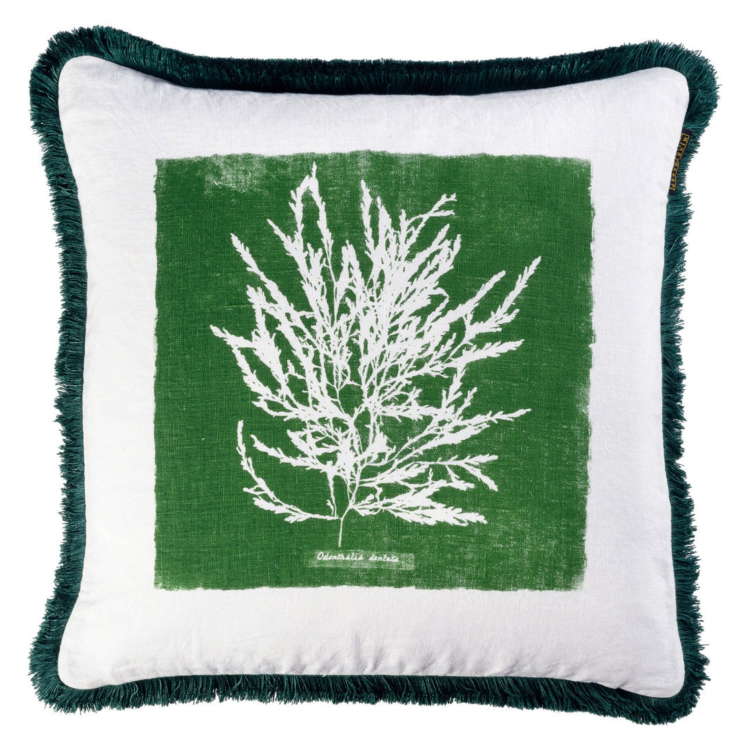 Algae I Cushion