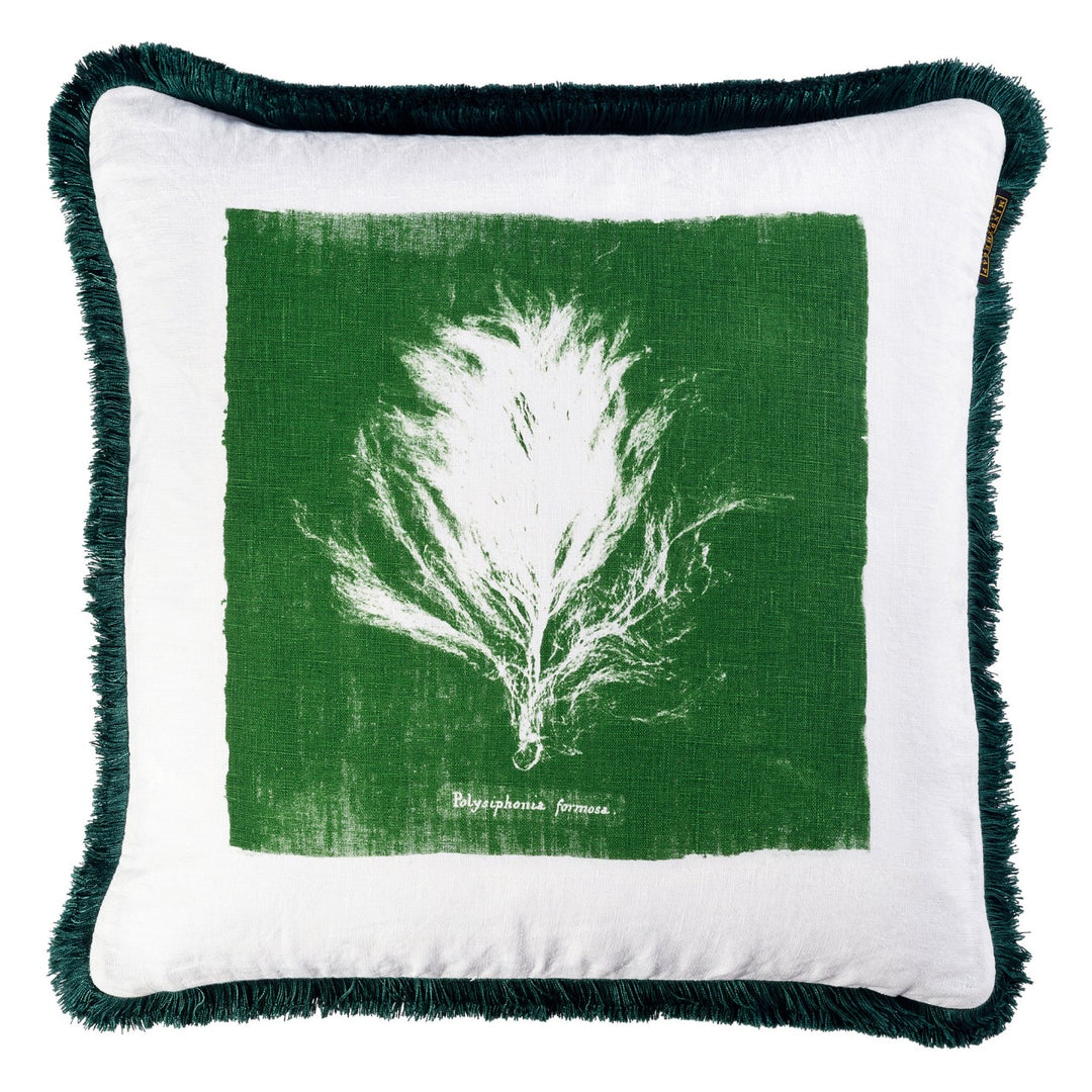 Algae II Cushion