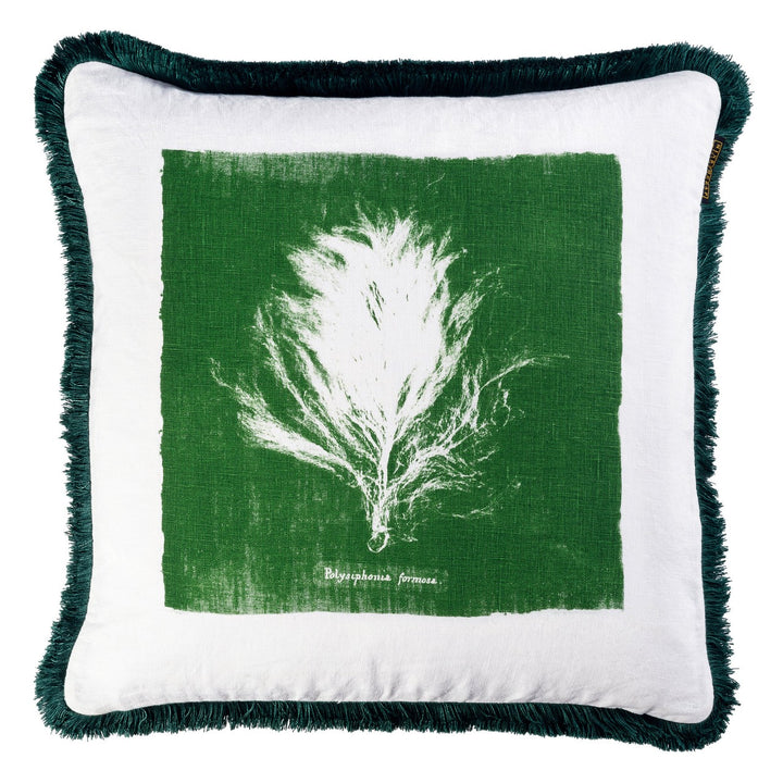 Algae II Cushion