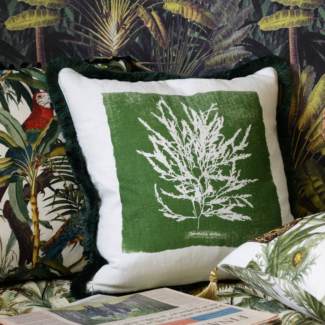 Algae I Cushion