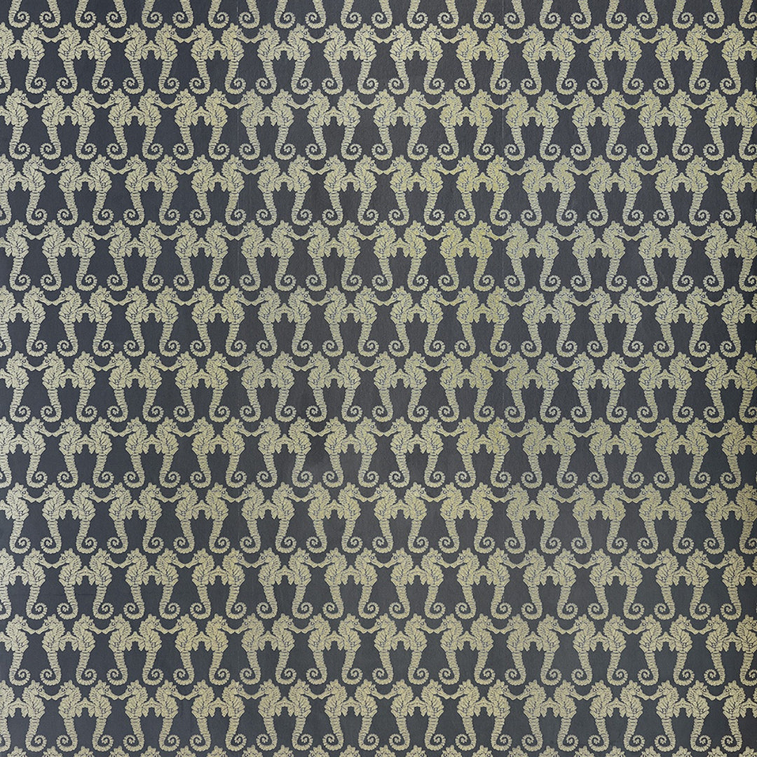 Seahorse Wallpape