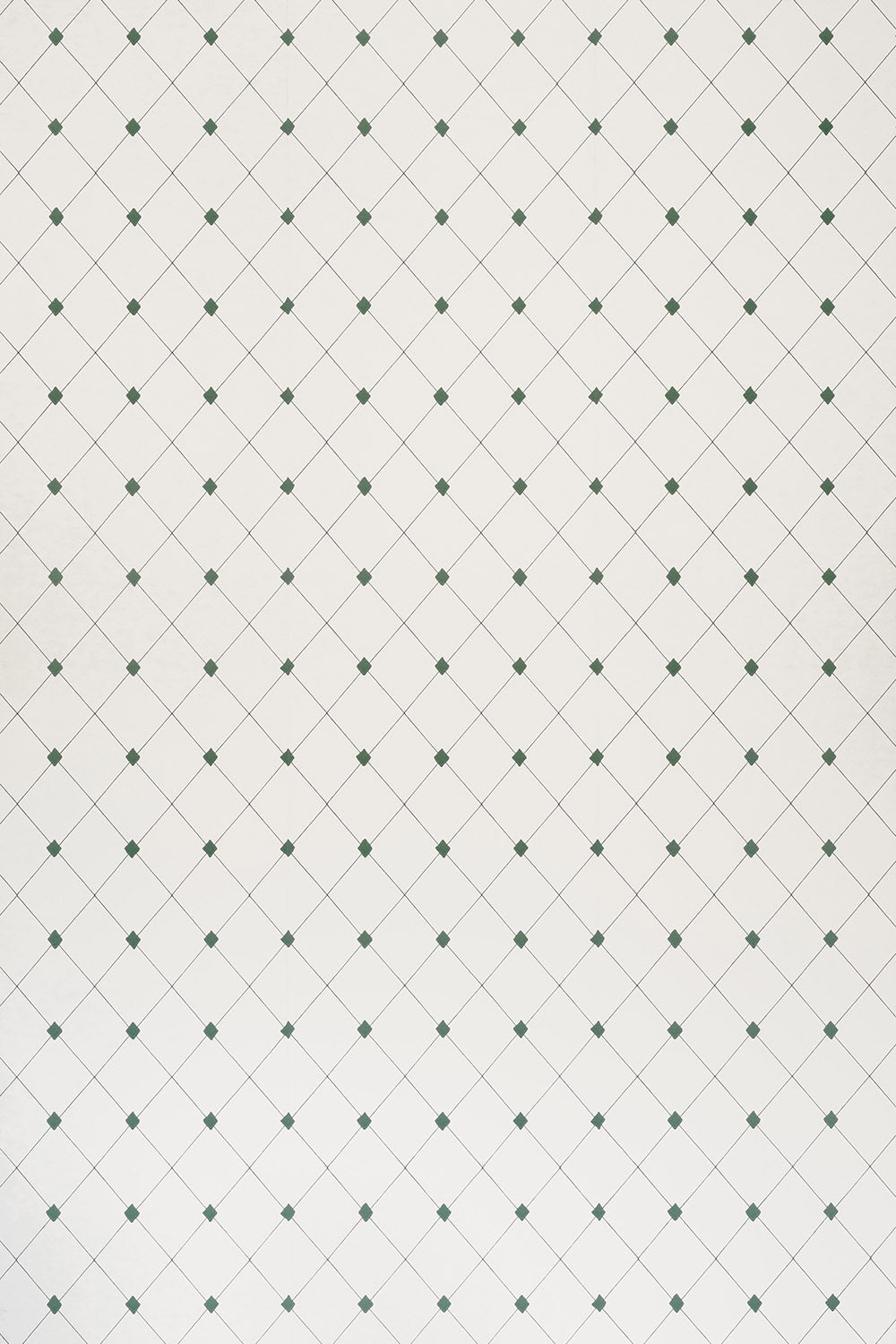 Diamond Trellis Wallpaper by Barneby Gates