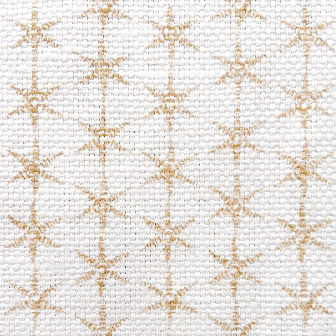 Anise Fabric