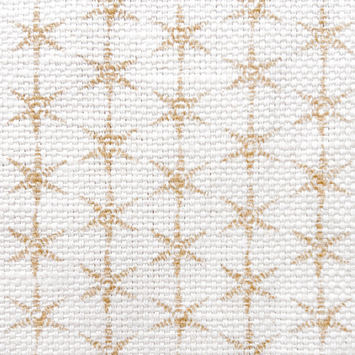 Anise Fabric