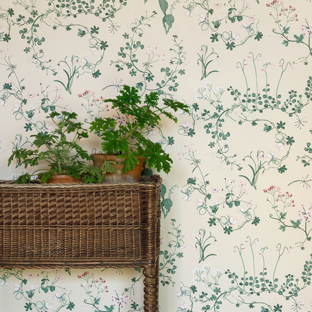 Willow Crossley Botanica Wallpaper