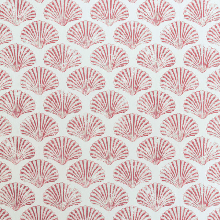 Red Scallop Shell Wallpaper