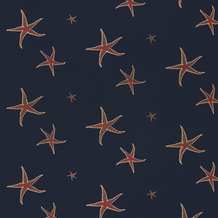 Starfish Wallpaper by Barneby Gates