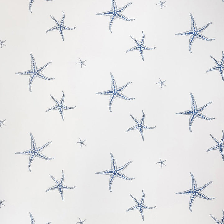 Starfish Wallpaper by Barneby Gates