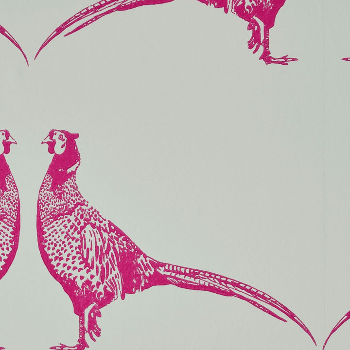 Barneby Gates Pheasant Wallpaper in Pink