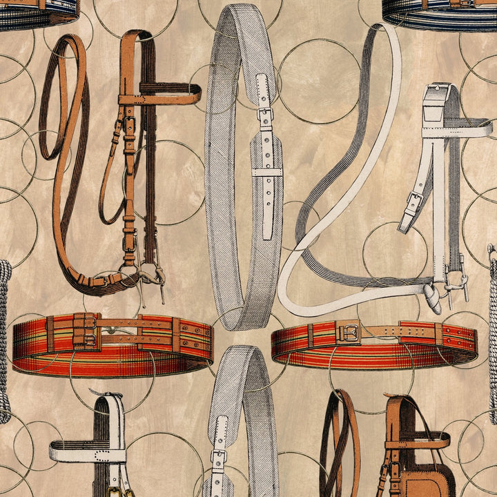 Equestrian Equipment Wallpaper