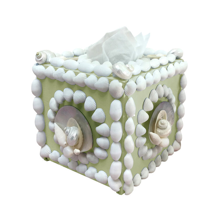 Shelled Tissue Box