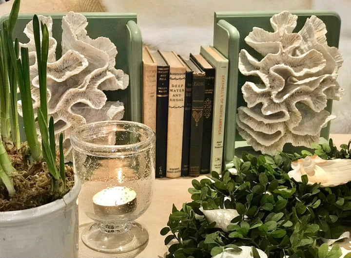 Coral Book Ends