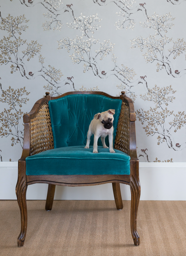 Nutcracker Wallpaper in Taupe