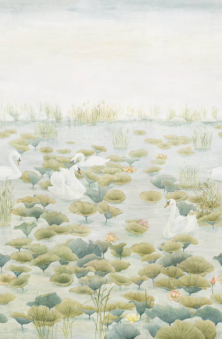 Swan Lake Wallpaper