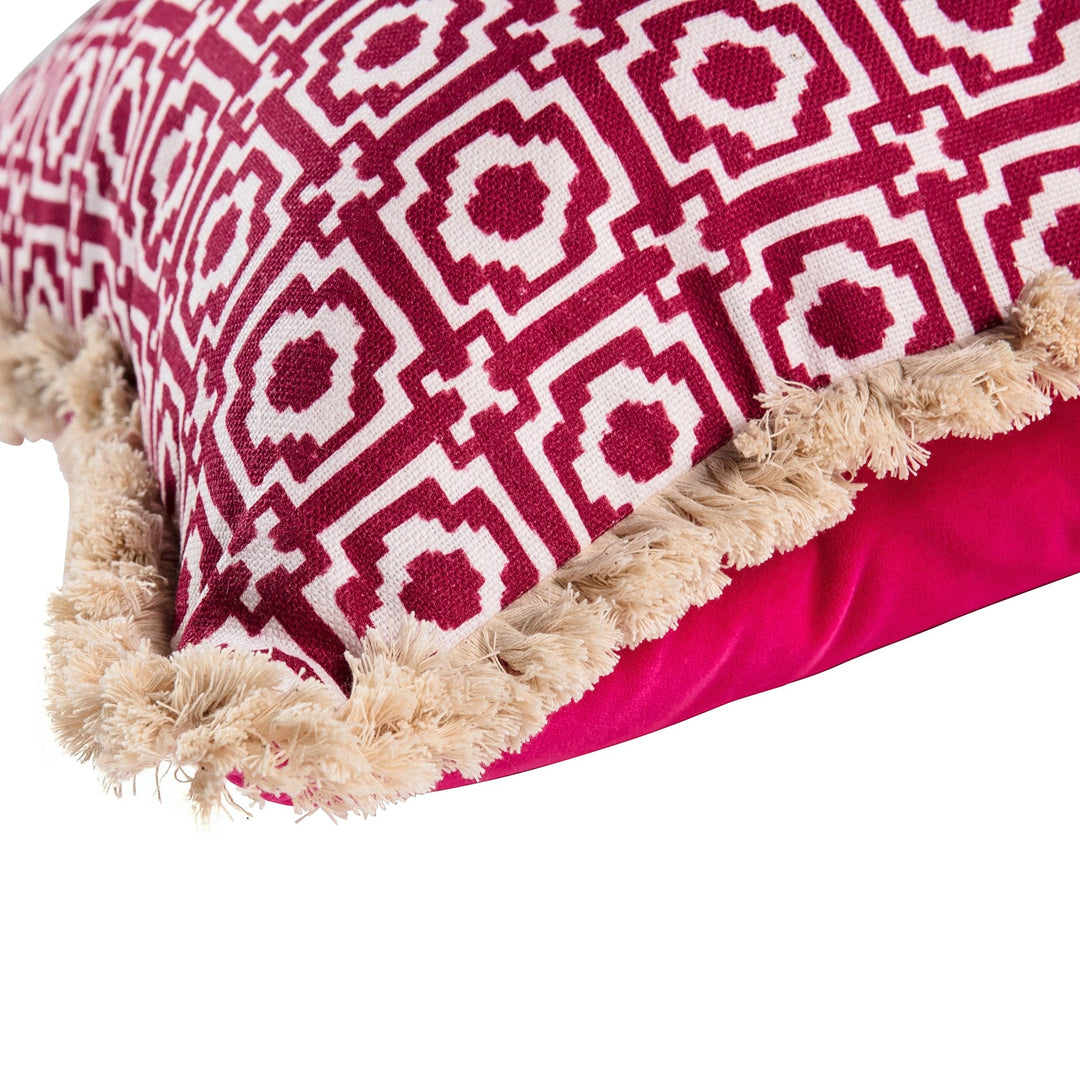 Alotablots Fringed Raspberry Cushion
