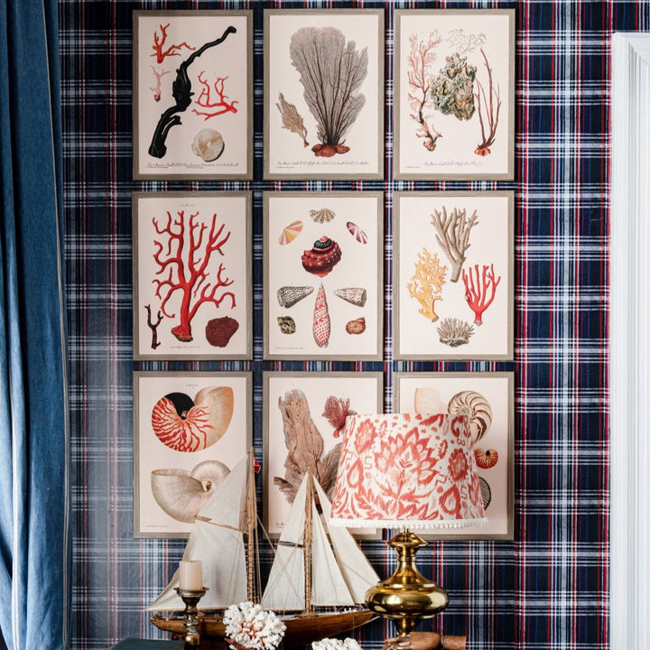 Deliciae Naturae Framed Art Prints