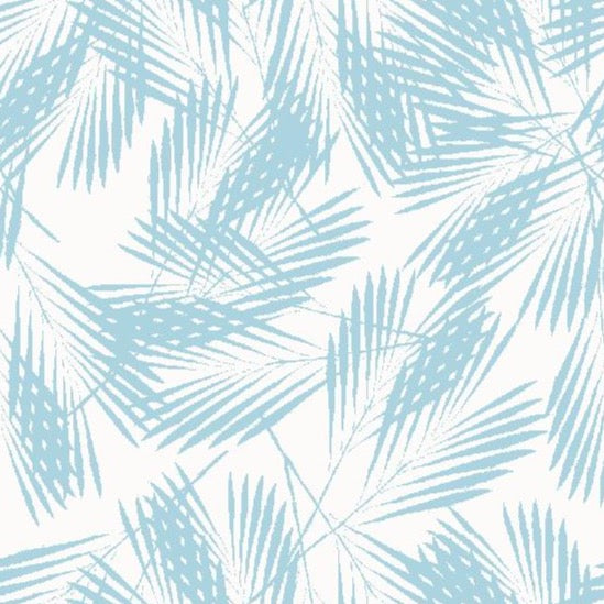 Palm Wallpaper