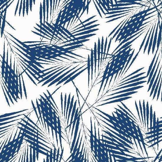 Palm Wallpaper