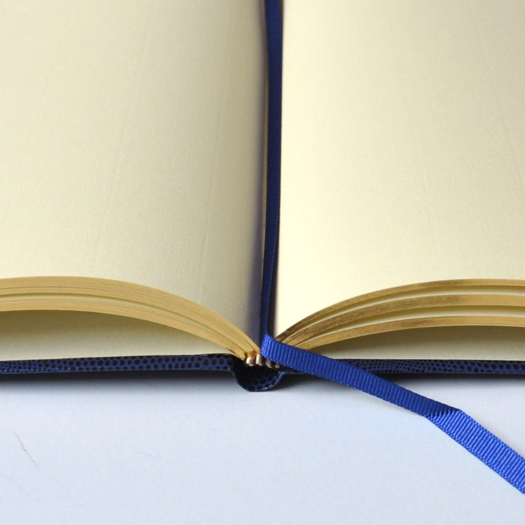 Ponzi Scheme Notebook