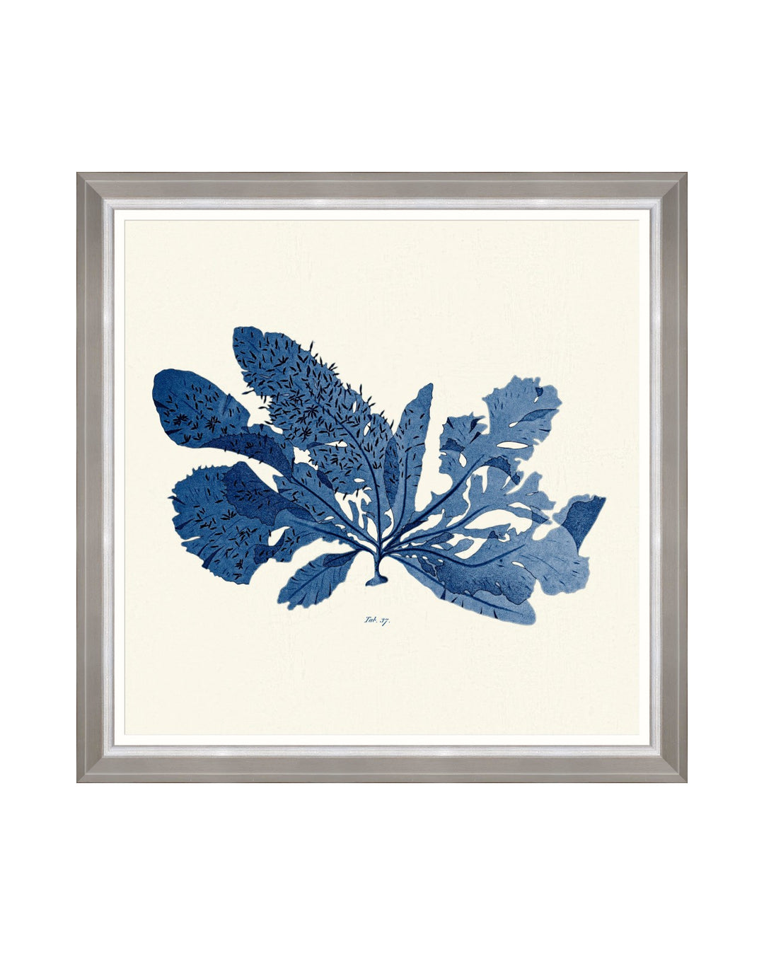 Seaweed Indigo Framed Art