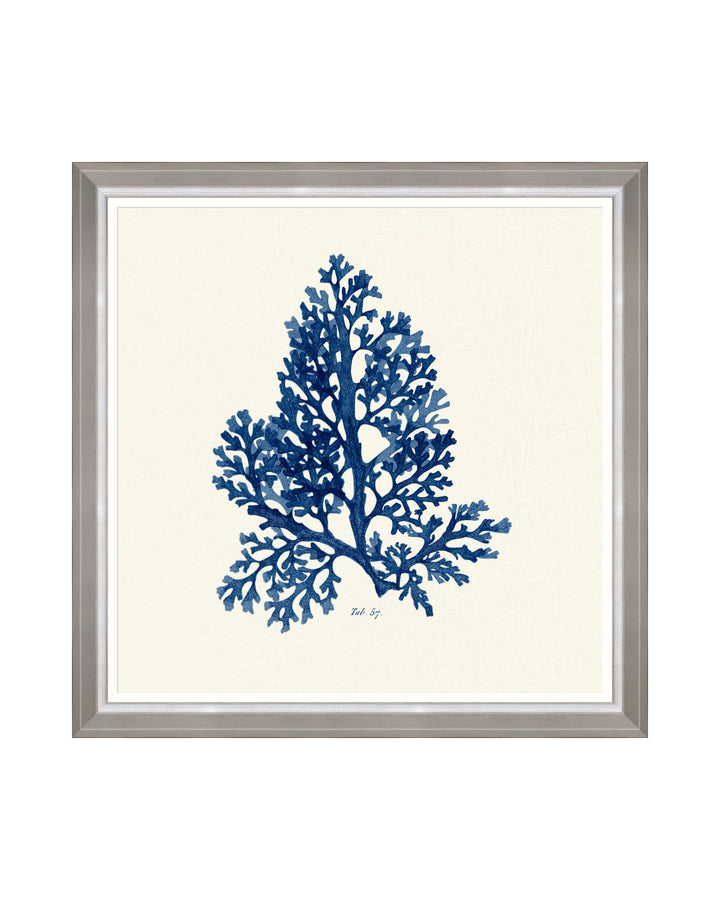 Seaweed Indigo Framed Art