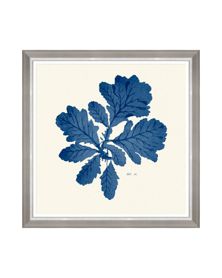 Seaweed Indigo Framed Art