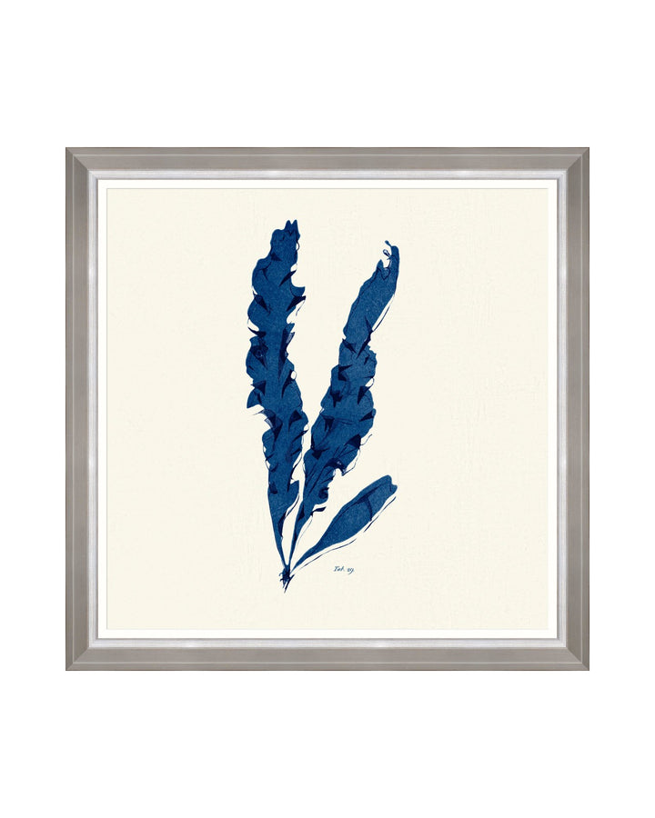 Seaweed Indigo Framed Art