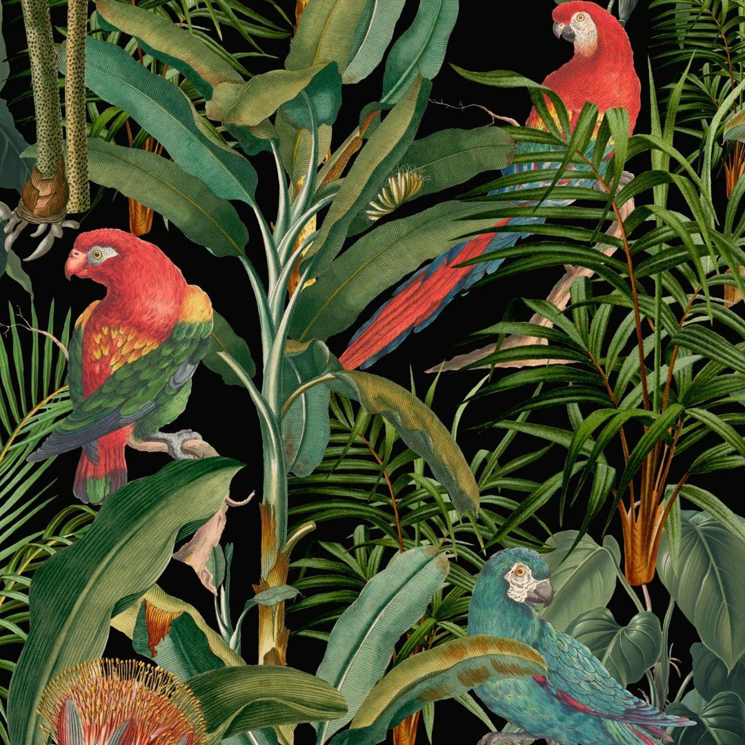 Parrots of Brazil Wallpaper