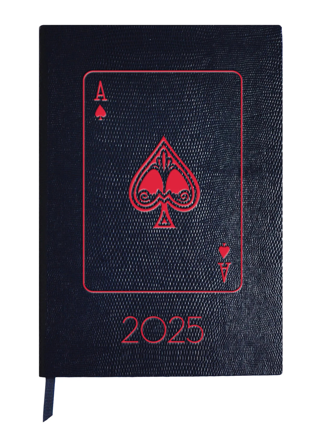 2025 Diary - Ace It!