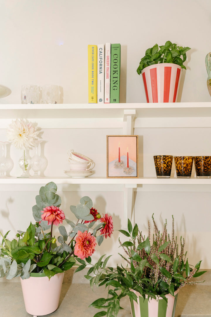 The Penny Planter - Pink & Red Rim