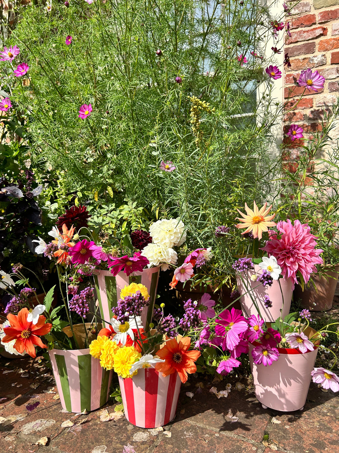 The Penny Planter - Pink & Green Rim