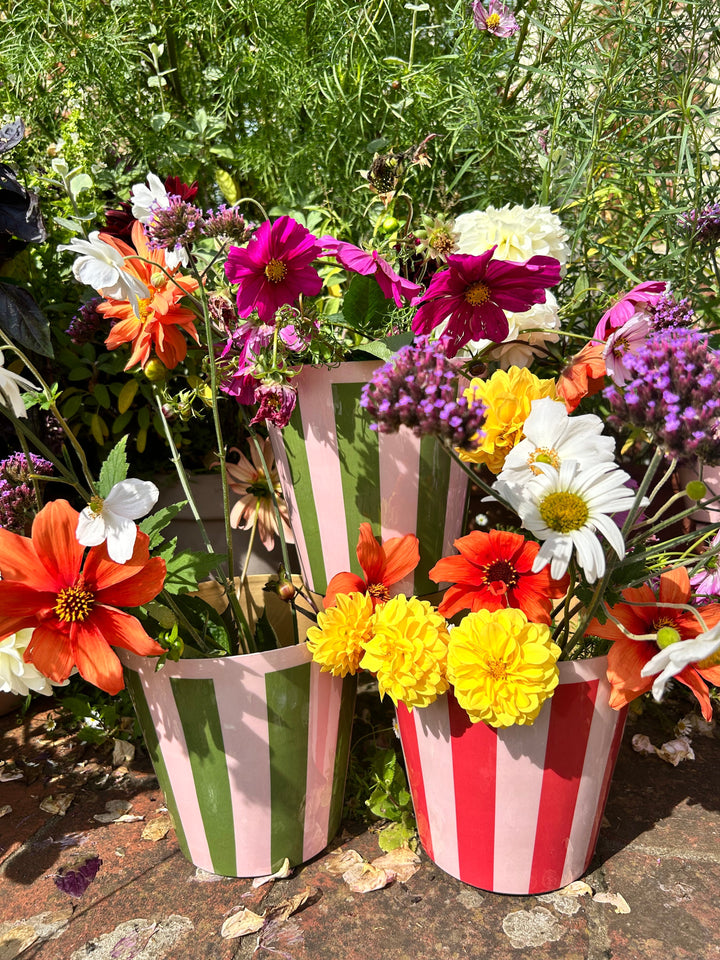 The Penny Planter - Pink & Red Stripe