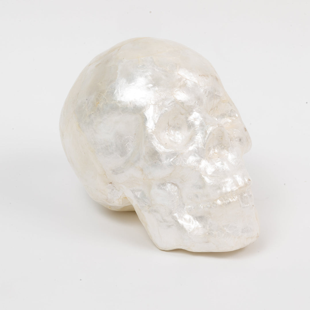 Capiz Skull - Pearl