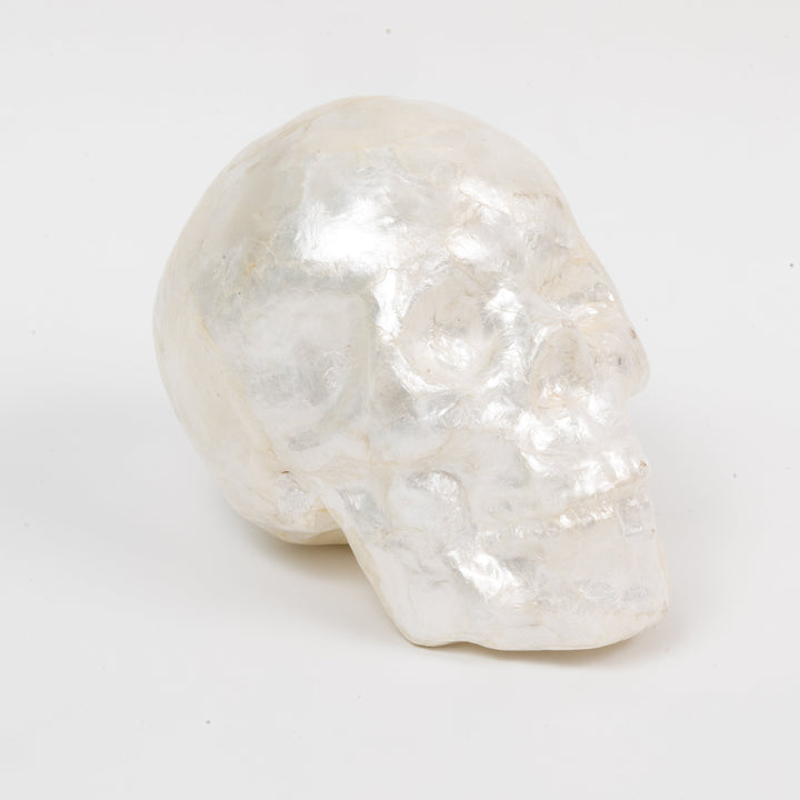 Capiz Skull - Pearl