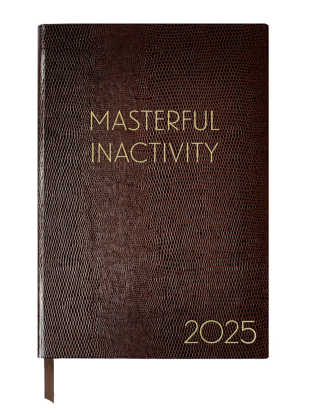 2025 Diary - Masterful Inactivity