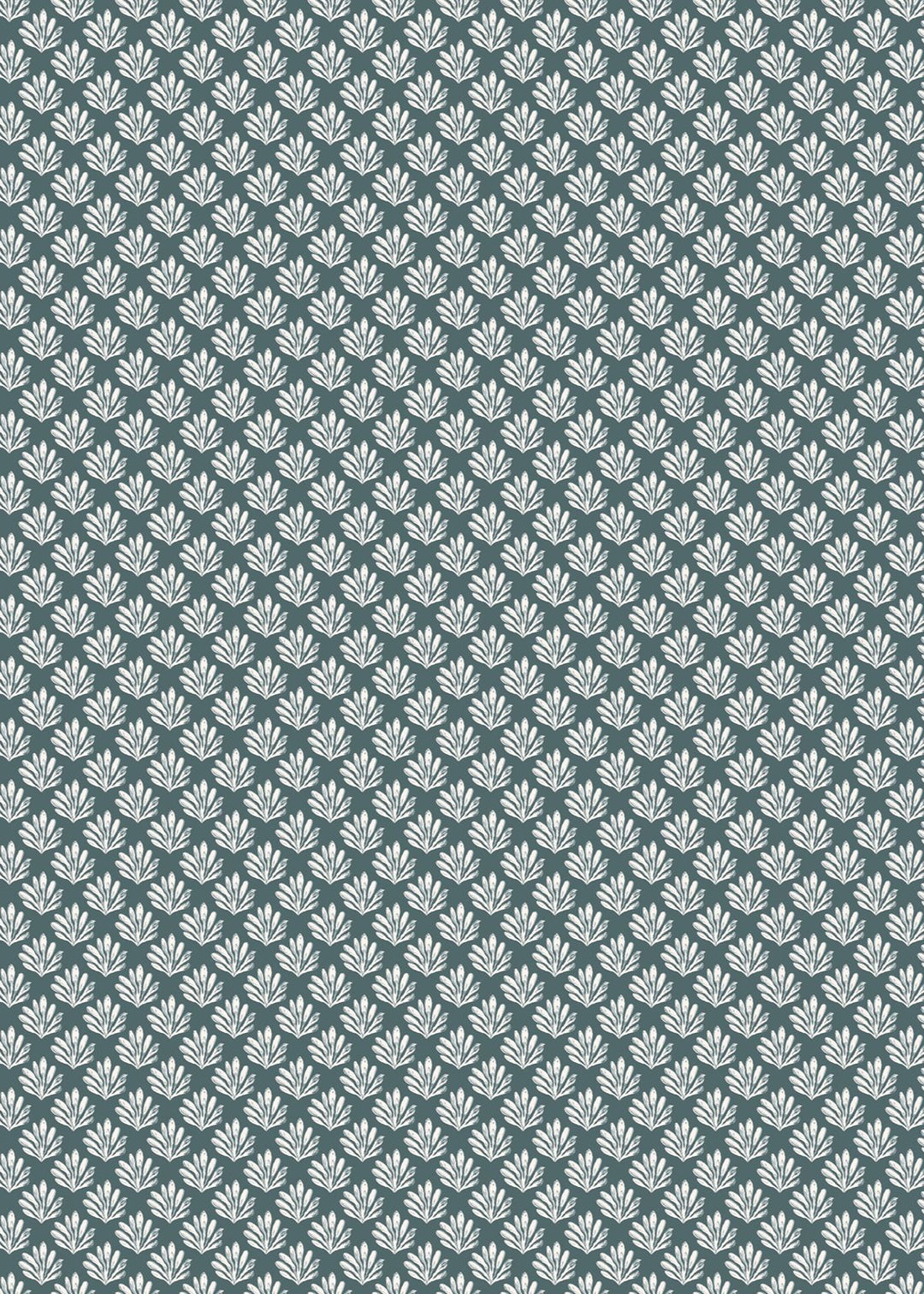 Sea Beech Wallpaper