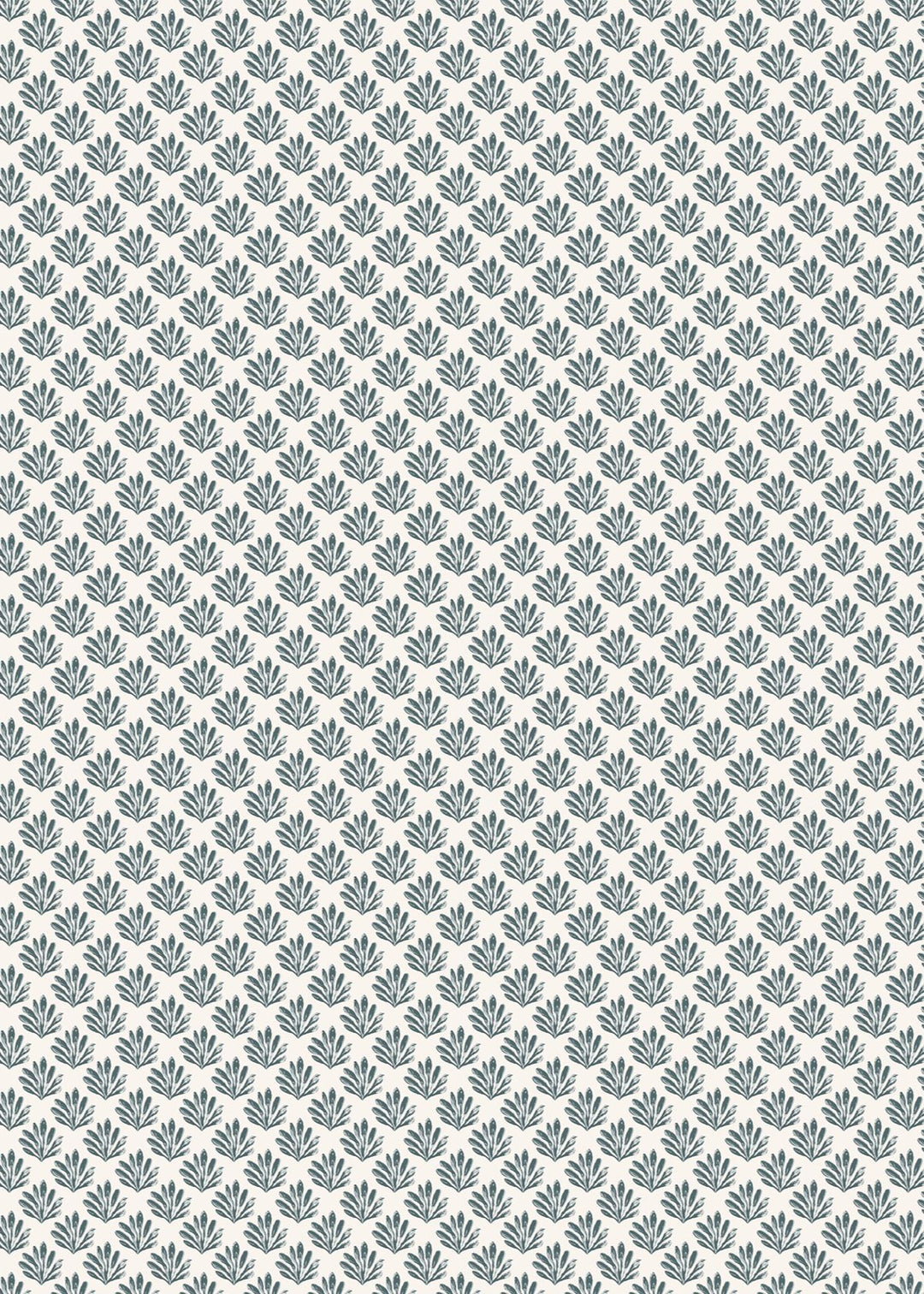 Sea Beech Wallpaper