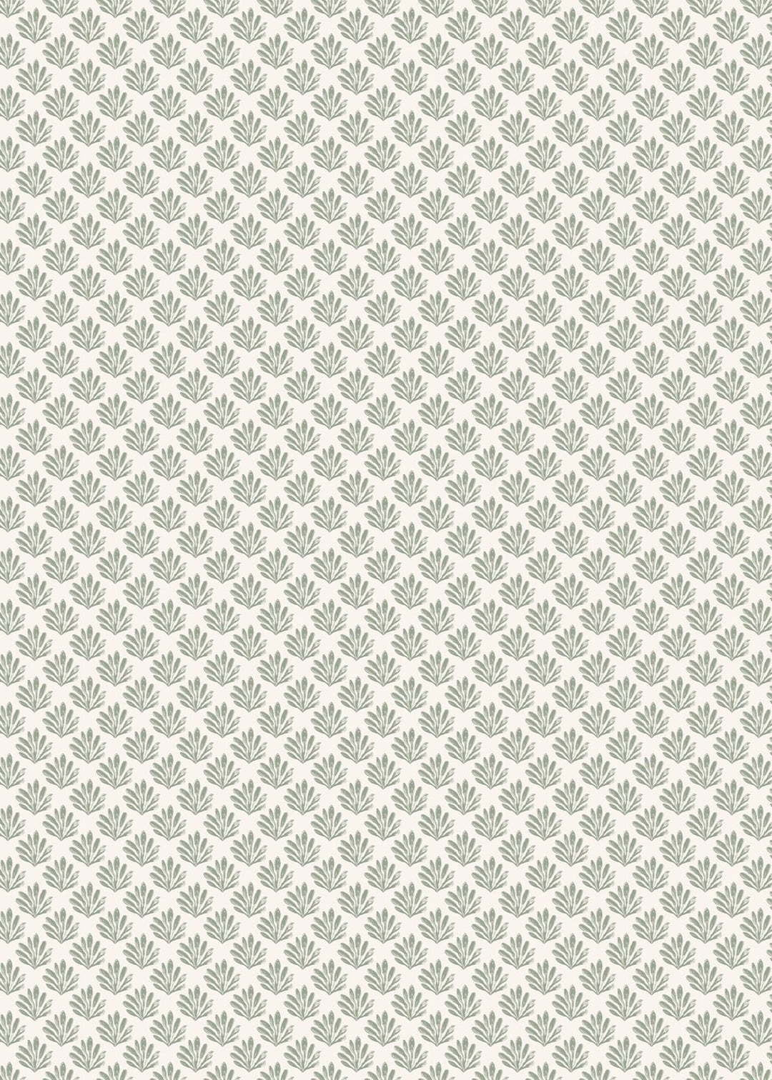 Sea Beech Wallpaper